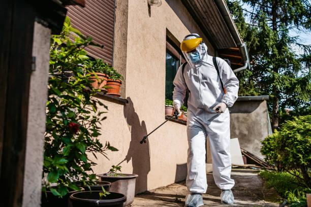 Best Affordable Pest Control Services  in Washington, NC