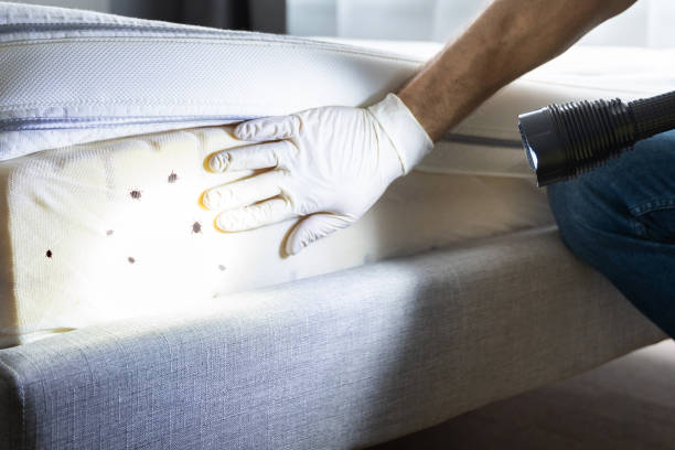 Best Exterminator Services  in Washington, NC