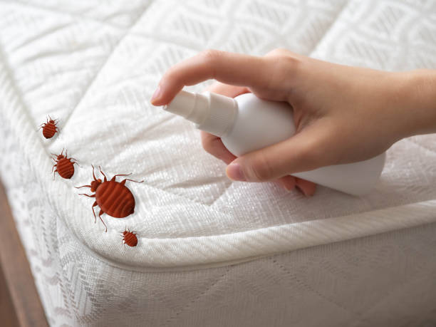 Best Best Pest Control Companies  in Washington, NC