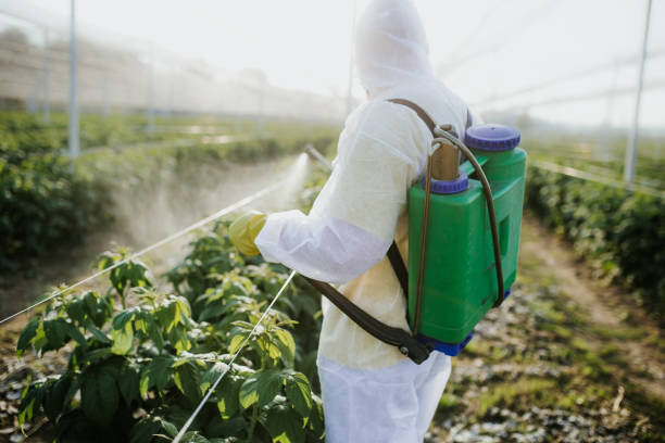 Best Commercial Pest Control Services  in Washington, NC